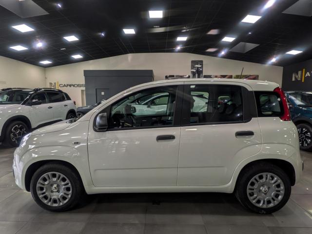 Fiat Panda - 1.0 70 ch Hybrid BSG S/S City